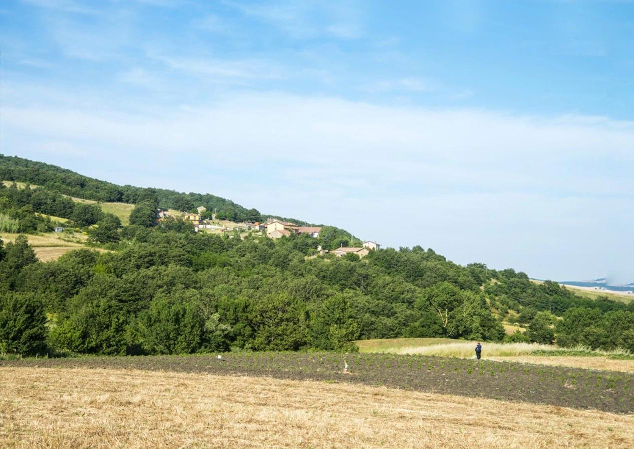 Le Pitture Casa Di Campagna Filiano Dış mekan fotoğraf