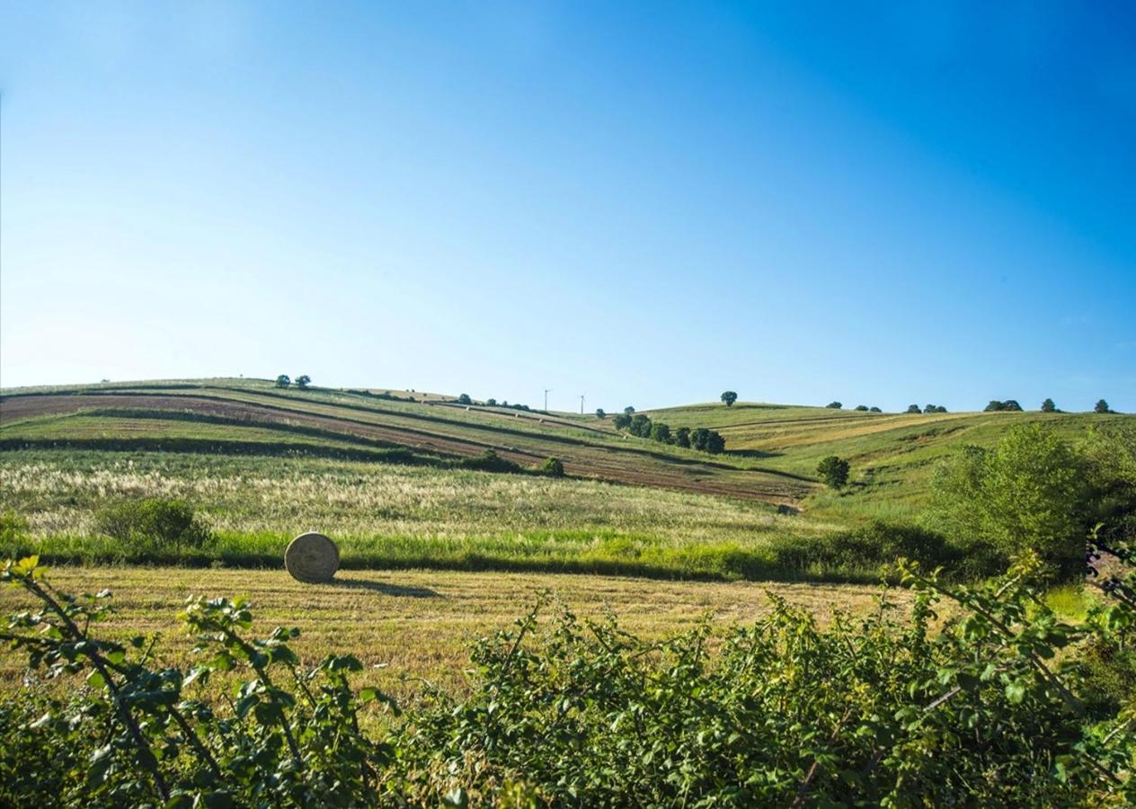 Le Pitture Casa Di Campagna Filiano Dış mekan fotoğraf