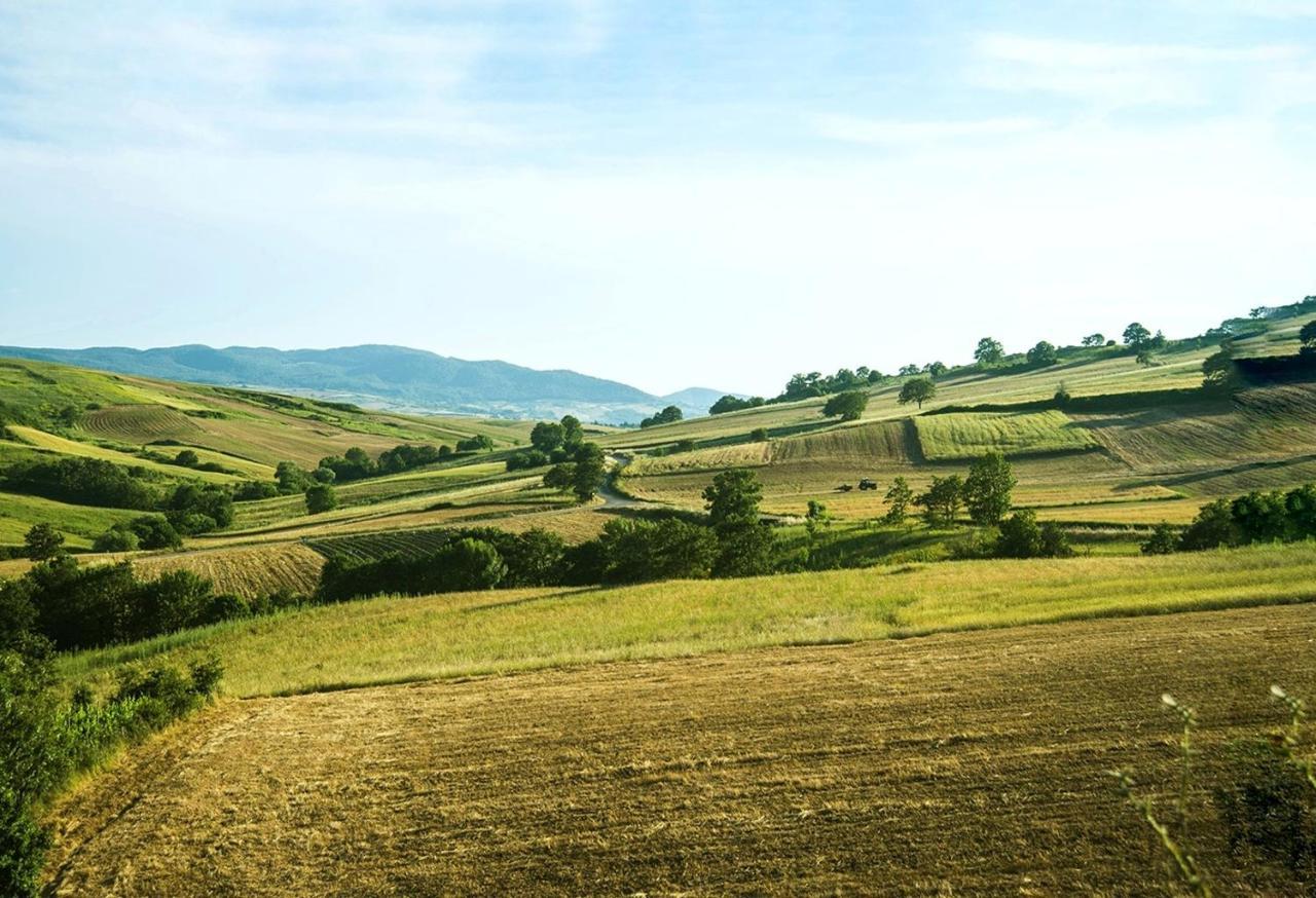 Le Pitture Casa Di Campagna Filiano Dış mekan fotoğraf